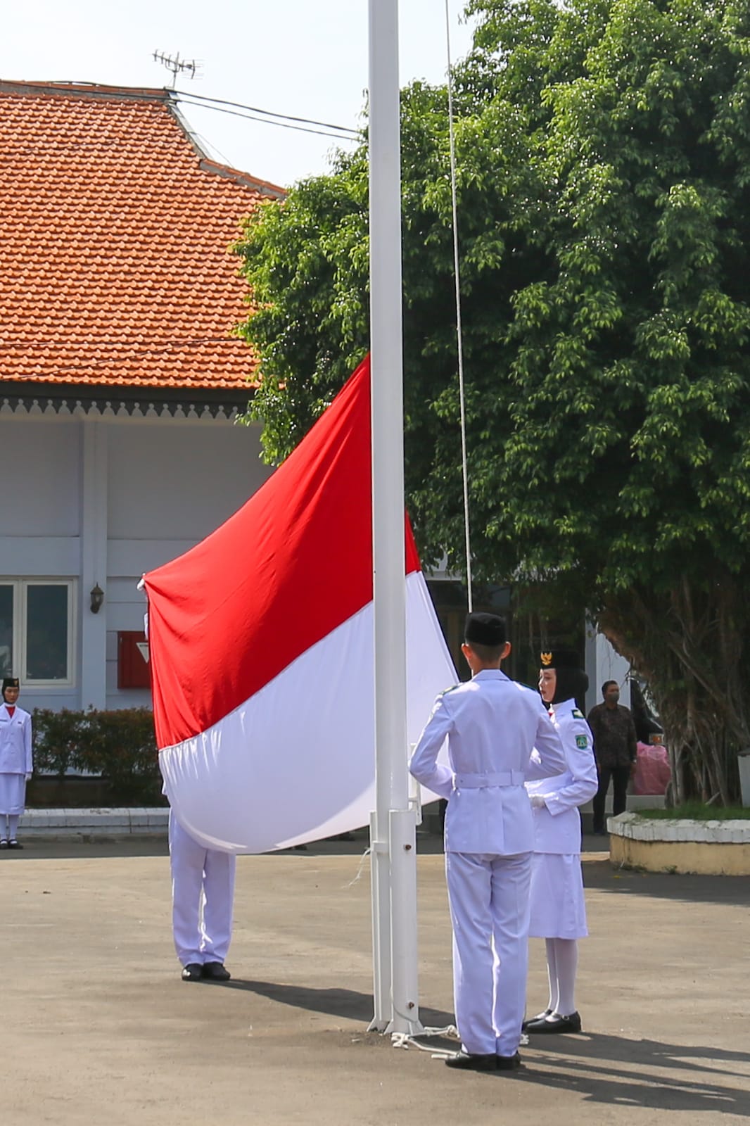 Sumpah Pemuda